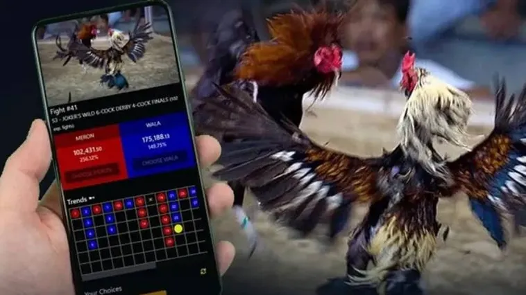 Đá Gà Fun88 1 Đá Gà Fun88 Bất Bại Hé Lộ Bí Kíp Cược Đâu Thắng Đó