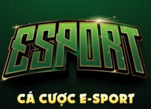 Bật Mí Cách Chơi Thể Thao Điện Tử Tại Fun88 Cho Người Mới